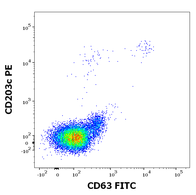 rBet v 2 (Betula verrucosa 2.0101) Antibody
