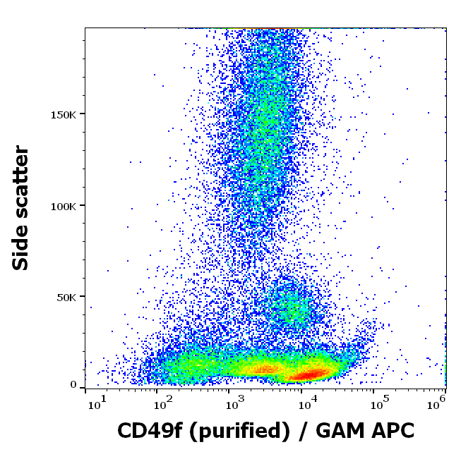 CD49f Antibody