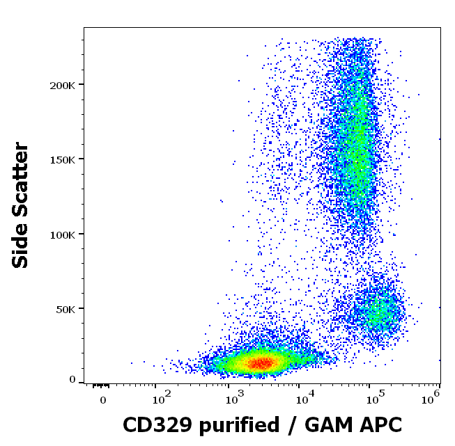 CD329 Antibody