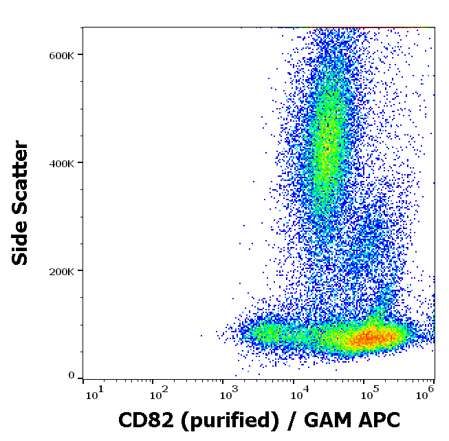CD82 Antibody