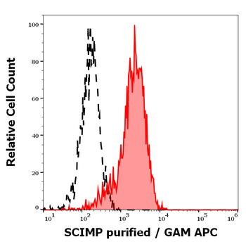 SCIMP Antibody