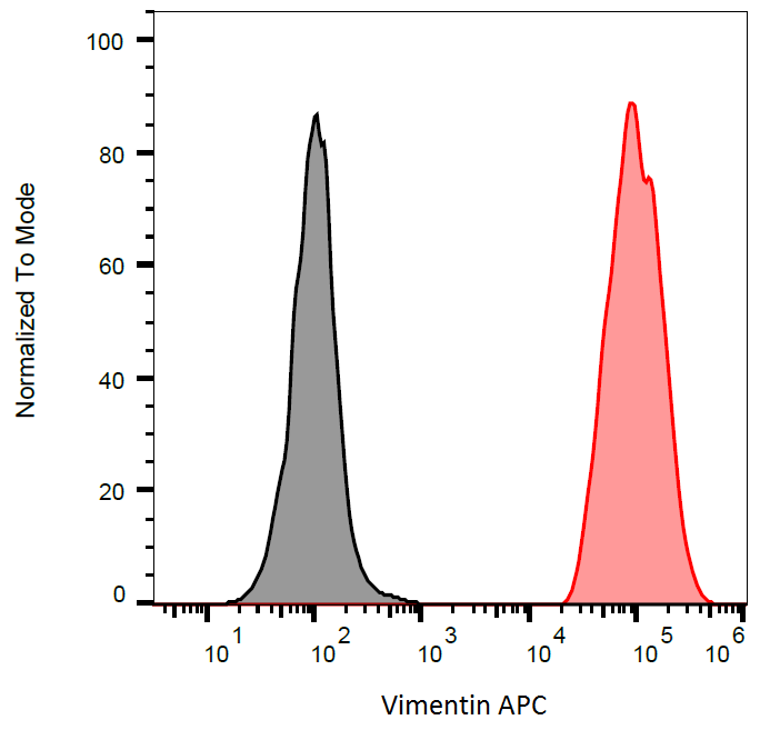 Vimentin Antibody (APC)