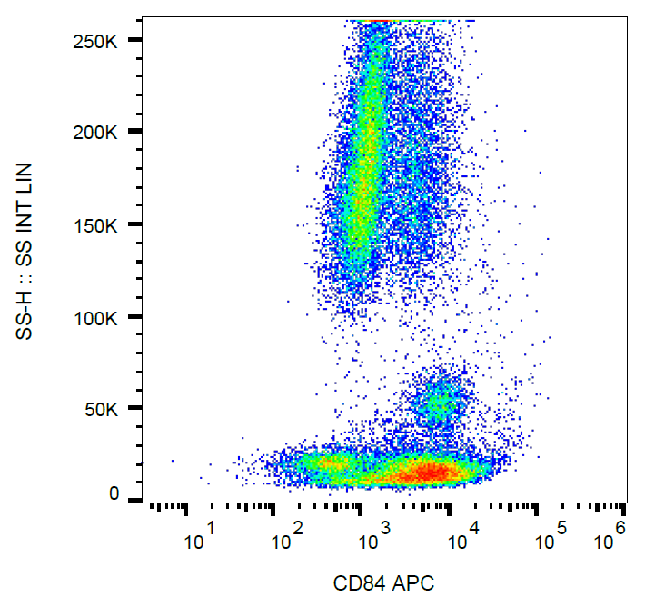 CD84 Antibody (APC)