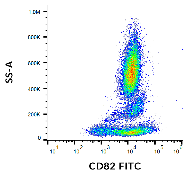 CD82 Antibody (FITC)