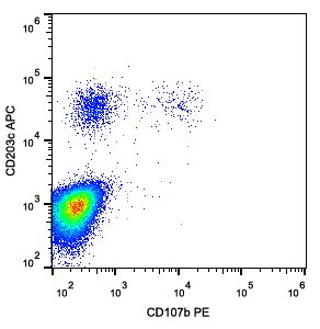 CD107b Antibody (PE)