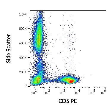 CD5 Antibody (PE)