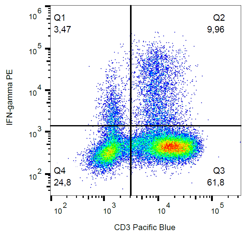 IFN gamma Antibody (PE)