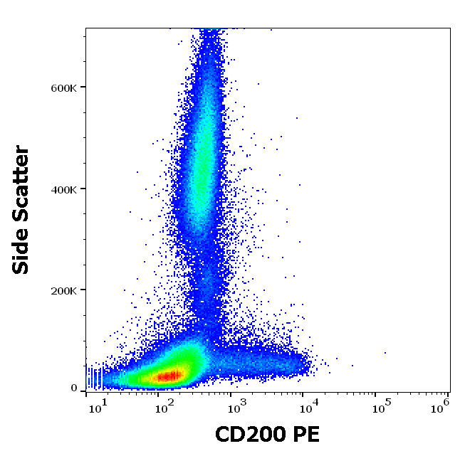 CD200 Antibody (PE)