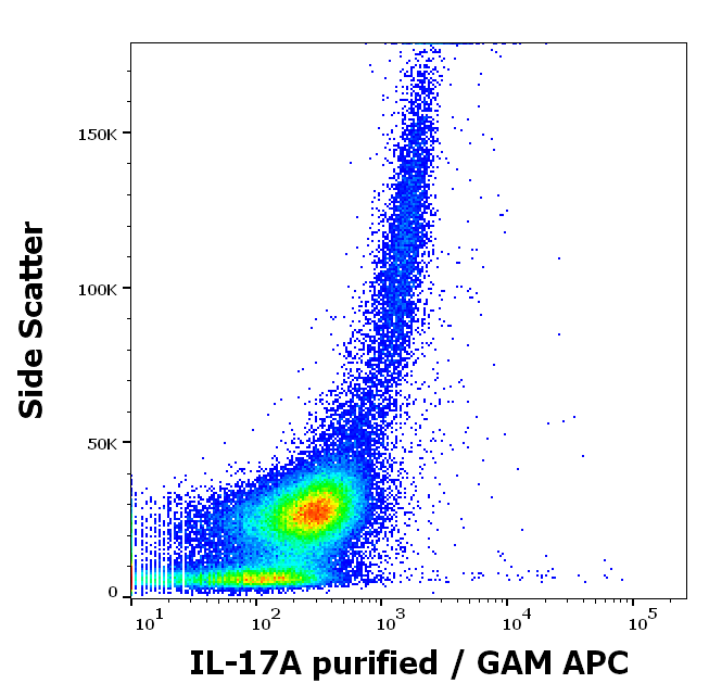 IL-17A Antibody