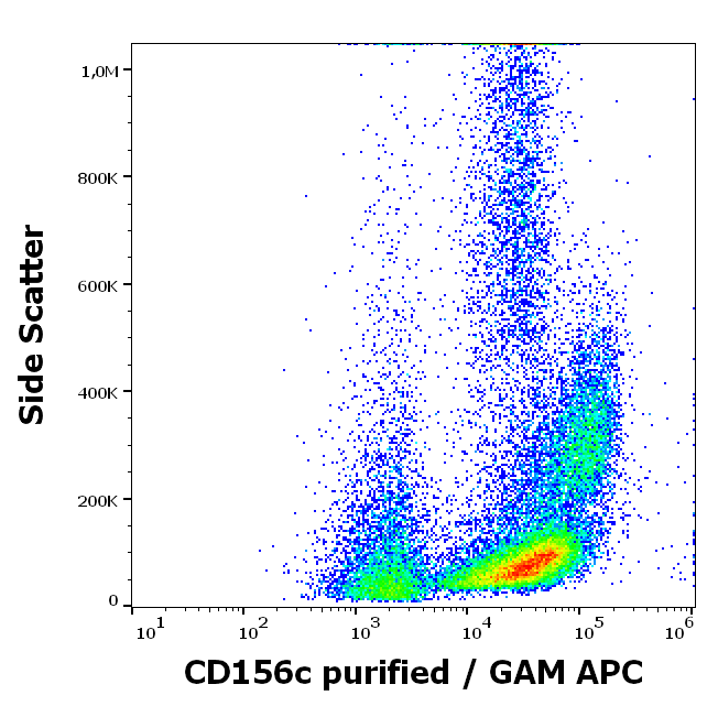 CD156c Antibody