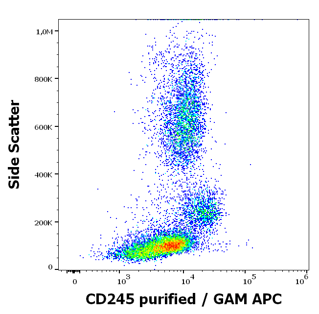 CD245 Antibody