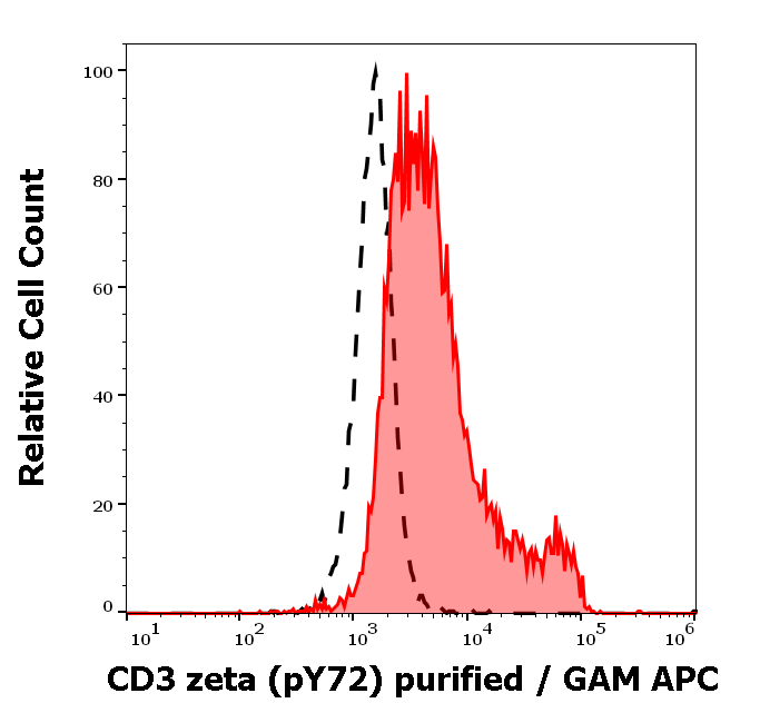 CD3 zeta (pY72) Antibody