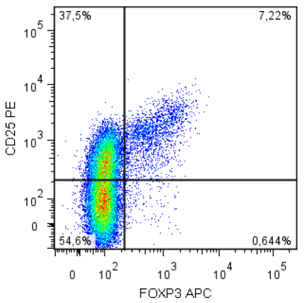 FoxP3 Antibody (APC)