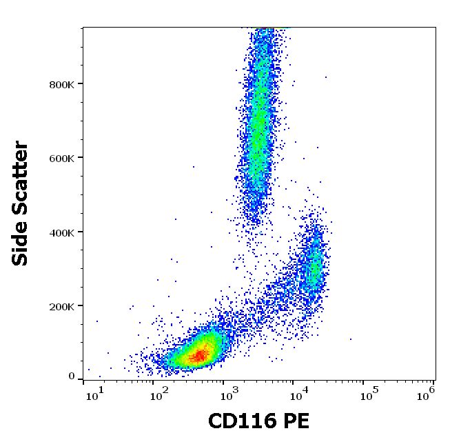 CD116 Antibody (PE)