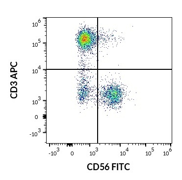 CD56 Antibody (FITC)