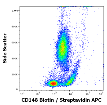 CD148 Antibody (Biotin)