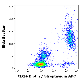 CD24 Antibody (Biotin)