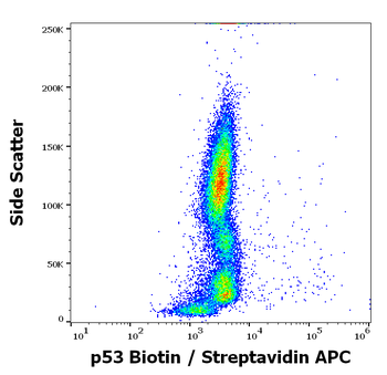 p53 Antibody (Biotin)