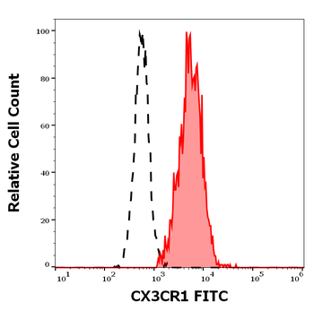 CX3CR1 Antibody (FITC)