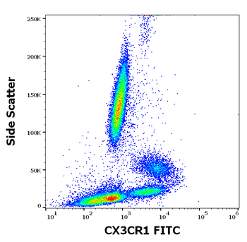 CX3CR1 Antibody (FITC)