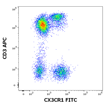 CX3CR1 Antibody (FITC)