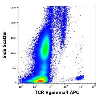 TCR Vgamma4 Antibody (APC)