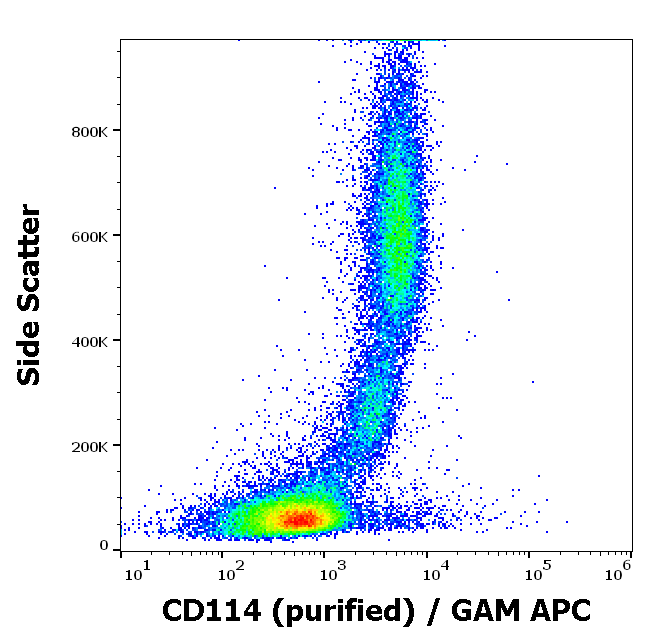 CD114 Antibody
