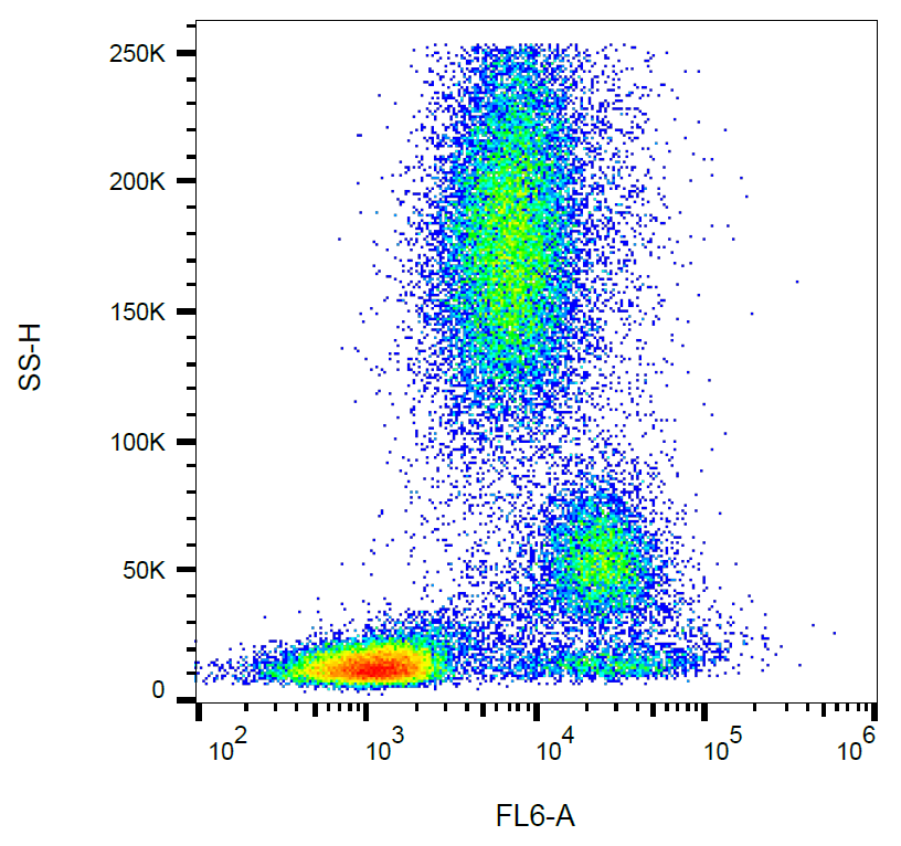 CD39 Antibody