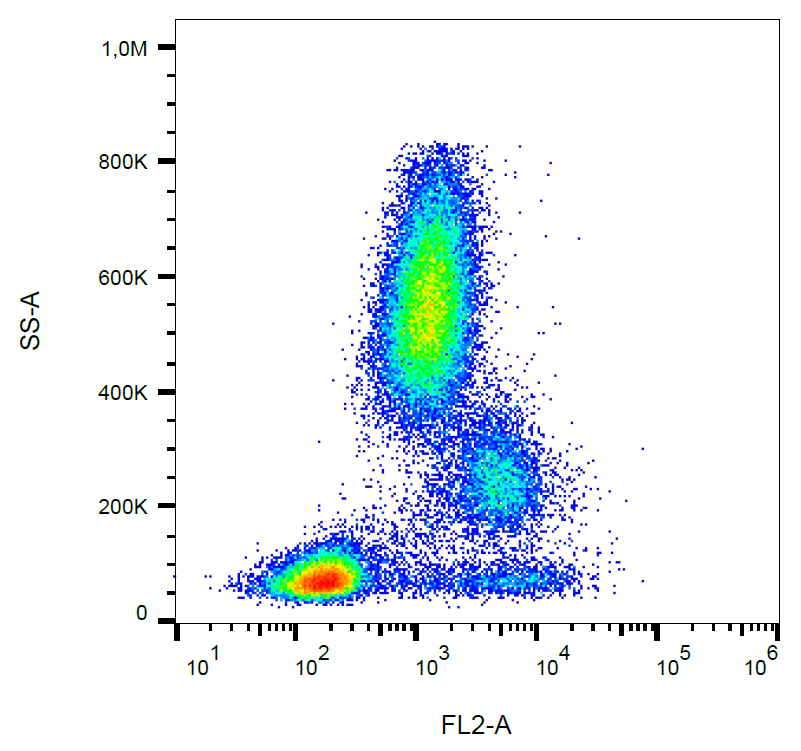 CD39 Antibody (PE)
