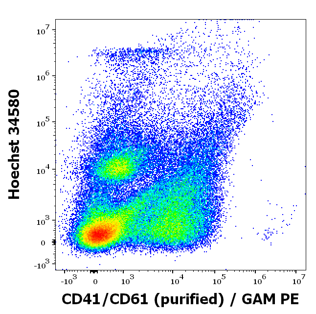 CD41/CD61 (PAC-1 epitope) Antibody
