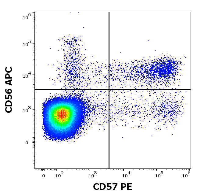 CD57 Antibody (PE)