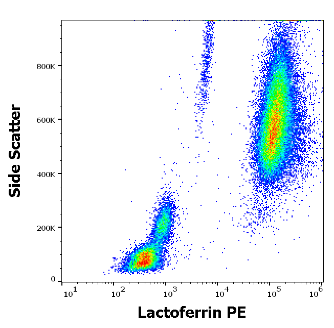 Lactoferrin Antibody (PE)