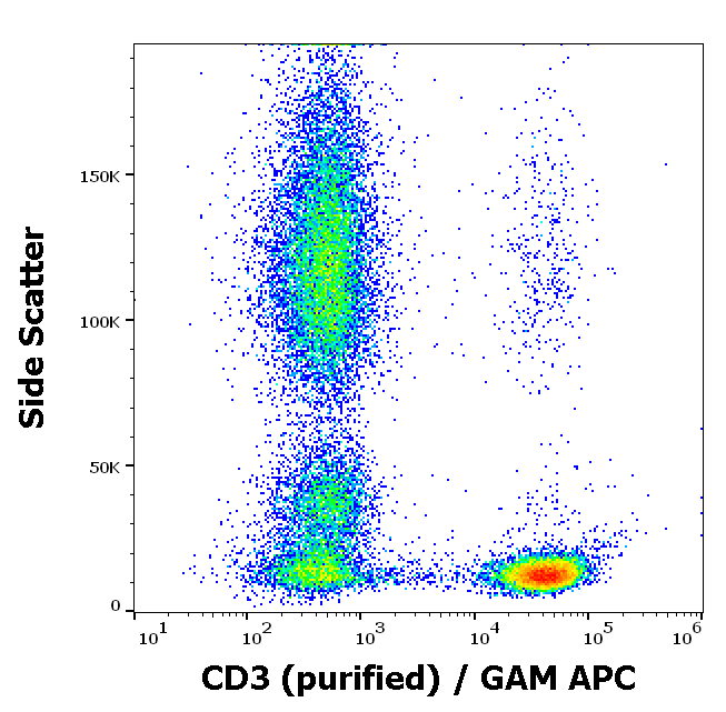 CD3 Antibody