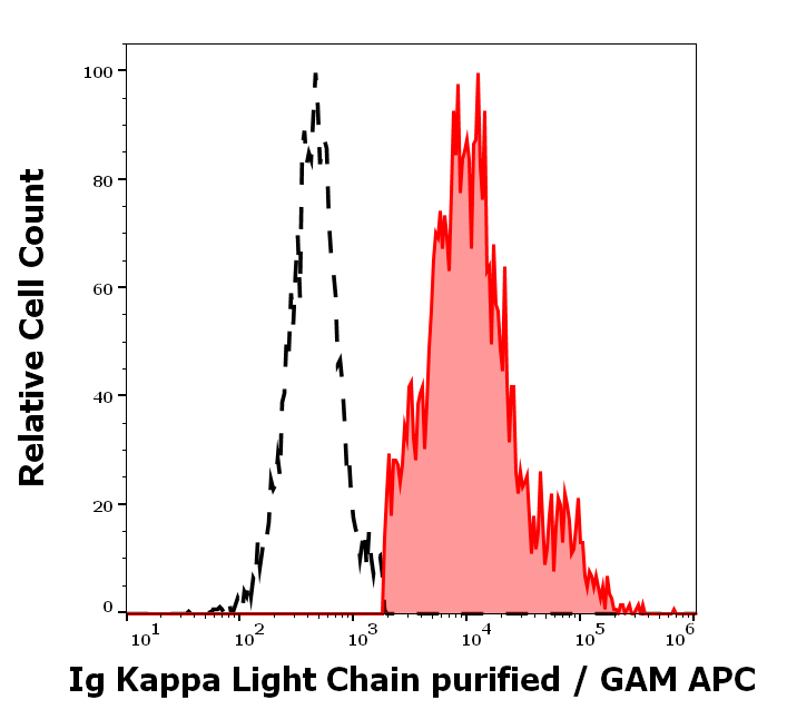 Ig Kappa Light Chain Antibody