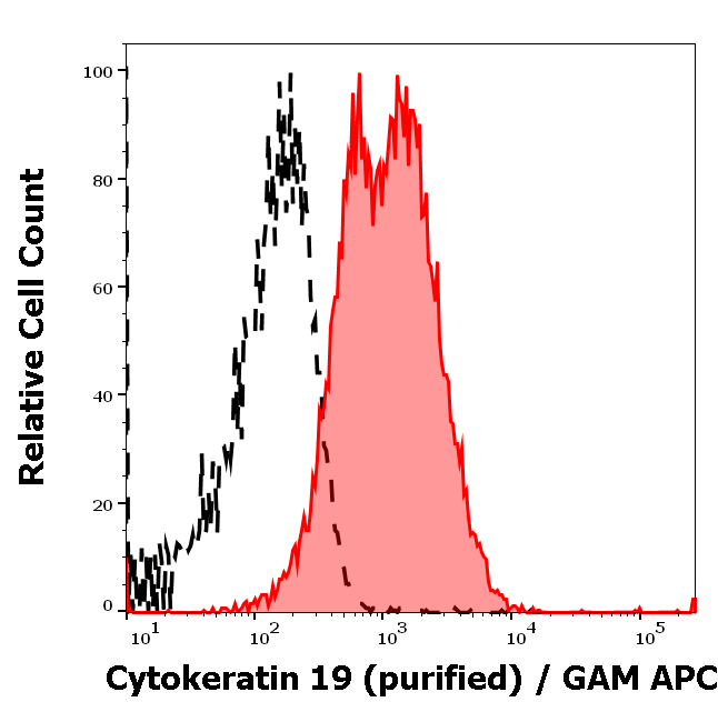 Cytokeratin 19 Antibody