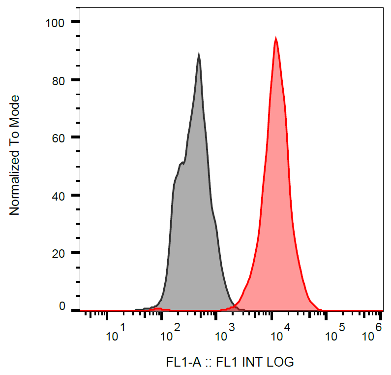 p53 Antibody (FITC)