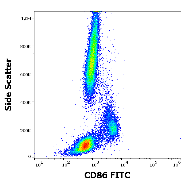 CD86 Antibody (FITC)