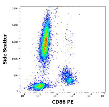 CD86 Antibody (PE)