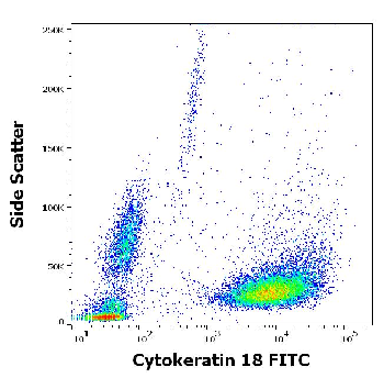 Cytokeratin 18 Antibody (FITC)