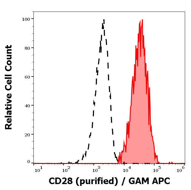 CD28 Antibody