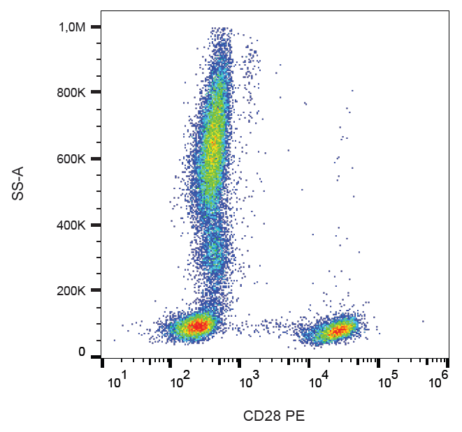 CD28 Antibody (PE)