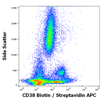 CD38 Antibody (Biotin)