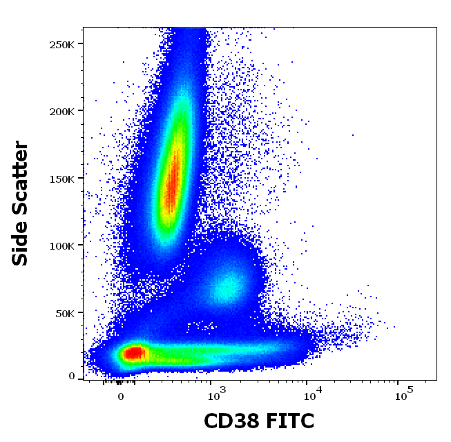 CD38 Antibody (FITC)