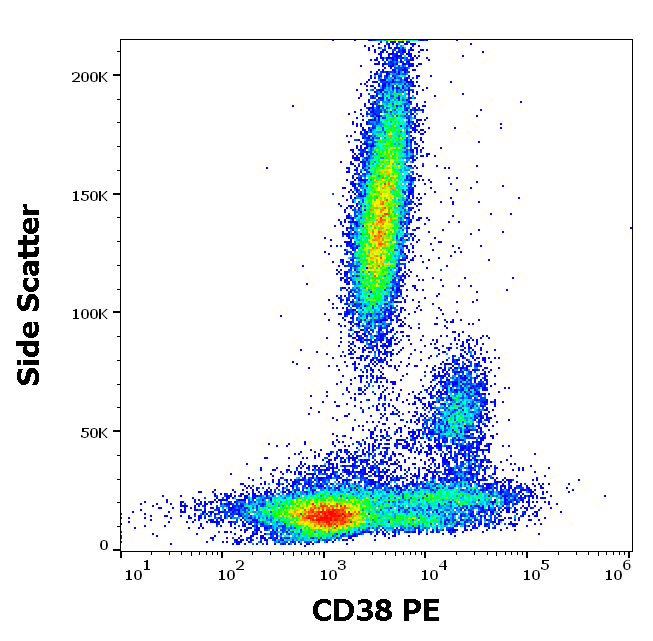 CD38 Antibody (PE)