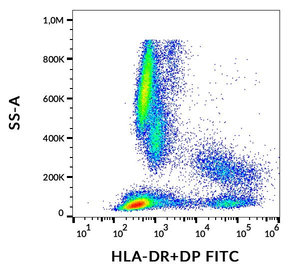 HLA-DR/DP Antibody (FITC)