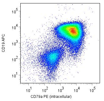 CD79a Antibody (PE)