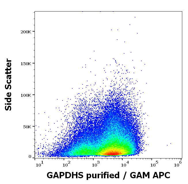 GAPDHS Antibody