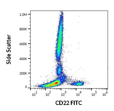 CD22 Antibody (FITC)