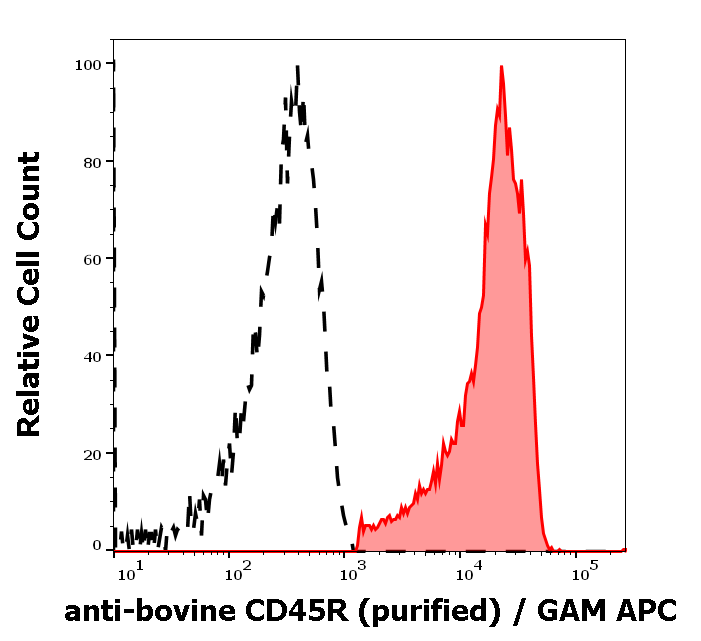 CD45R Antibody