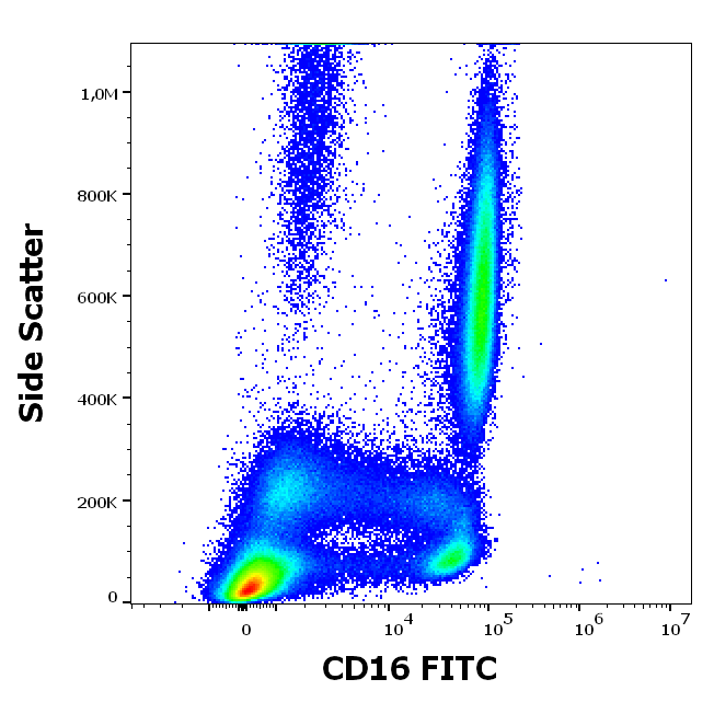 CD16 Antibody (FITC)